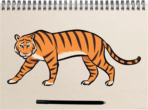 老虎 畫|中国画老虎，简单易学适合儿童和初学者 How to draw a tiger,。